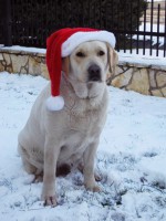 /album/dolly-jolly-amazing-love1/img-8465uj-jpg1/