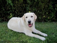 /album/dolly-jolly-amazing-love1/img-3715-jpg/