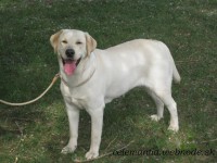 /album/dolly-jolly-amazing-love1/img-4031-jpg/